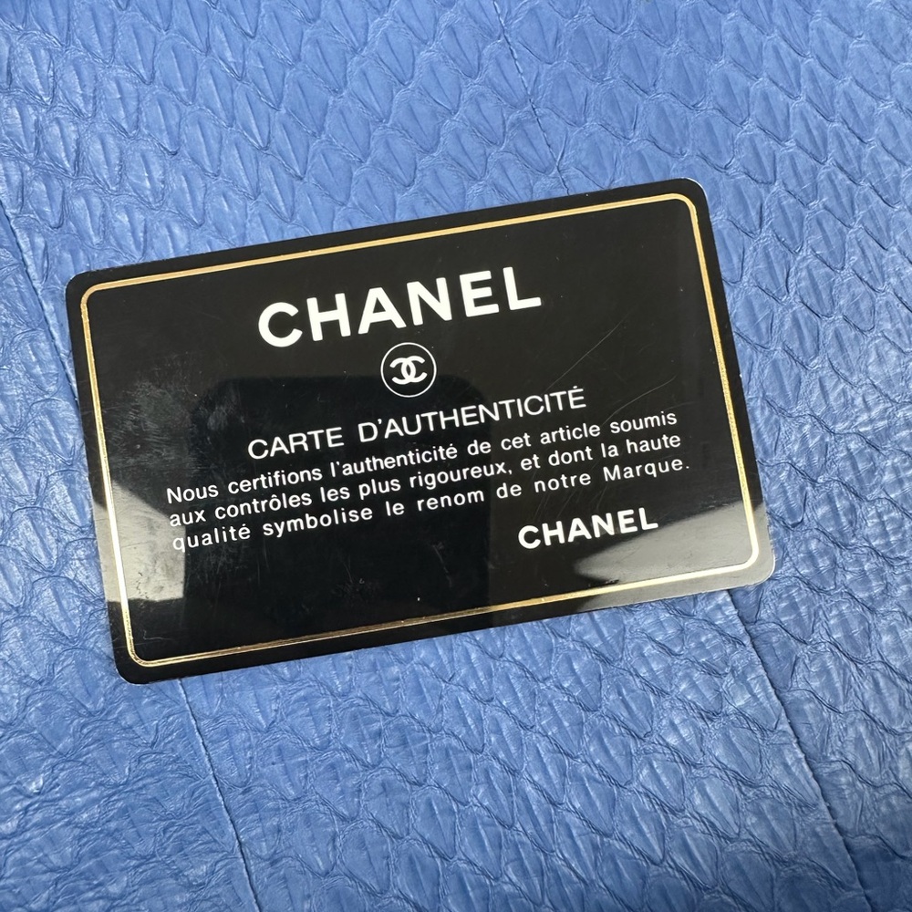 CHANEL Classic Flap Blue Python Leather Silver Ha… - image 13